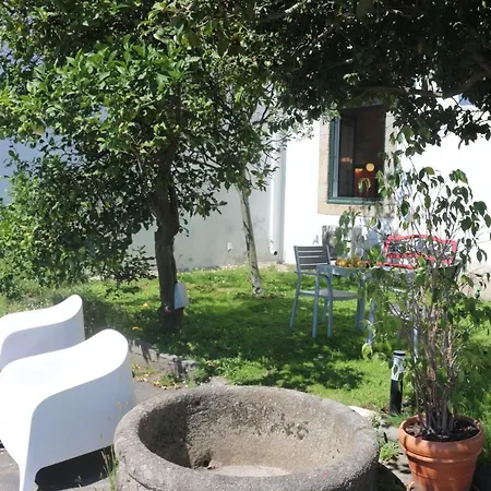 Apartament Manor House *