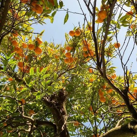 Appartement Manor House